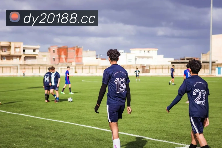 奖项证书